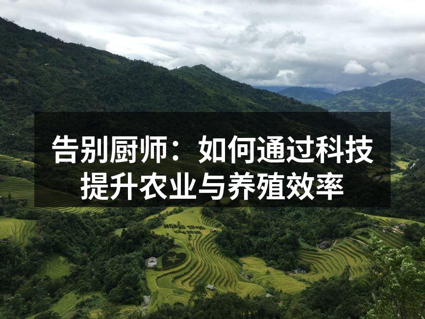 告别厨师：如何通过科技提升农业与养殖效率